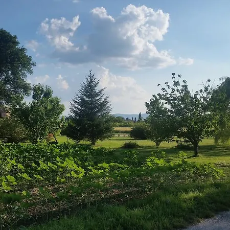 Bed & Breakfast Le Rose 3*