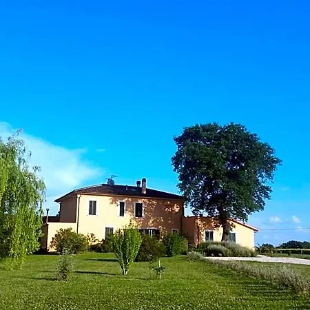 Le Rose Spello