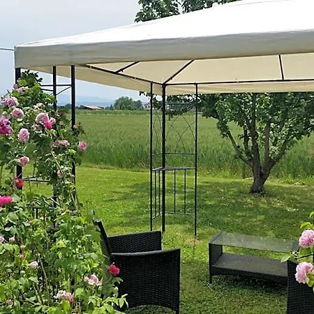 Le Rose