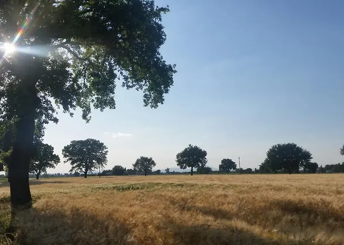 Bed and breakfast Le Rose Spello