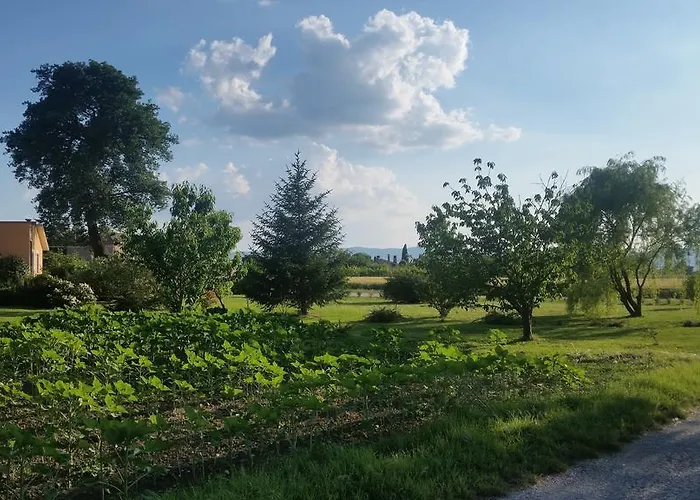 Alojamento de Acomodação e Pequeno-almoço Le Rose 3*